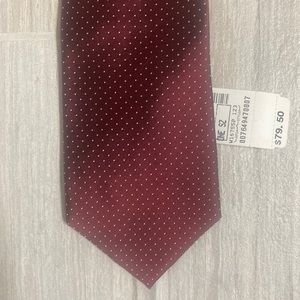 Maroon Dotted Silk Tie